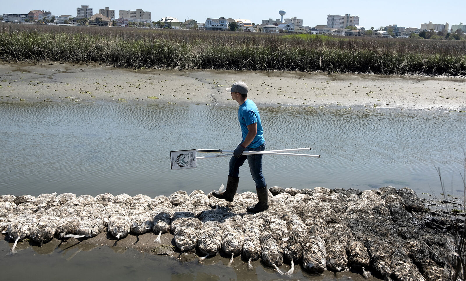 426 NMB oyster bed_JM15.JPG